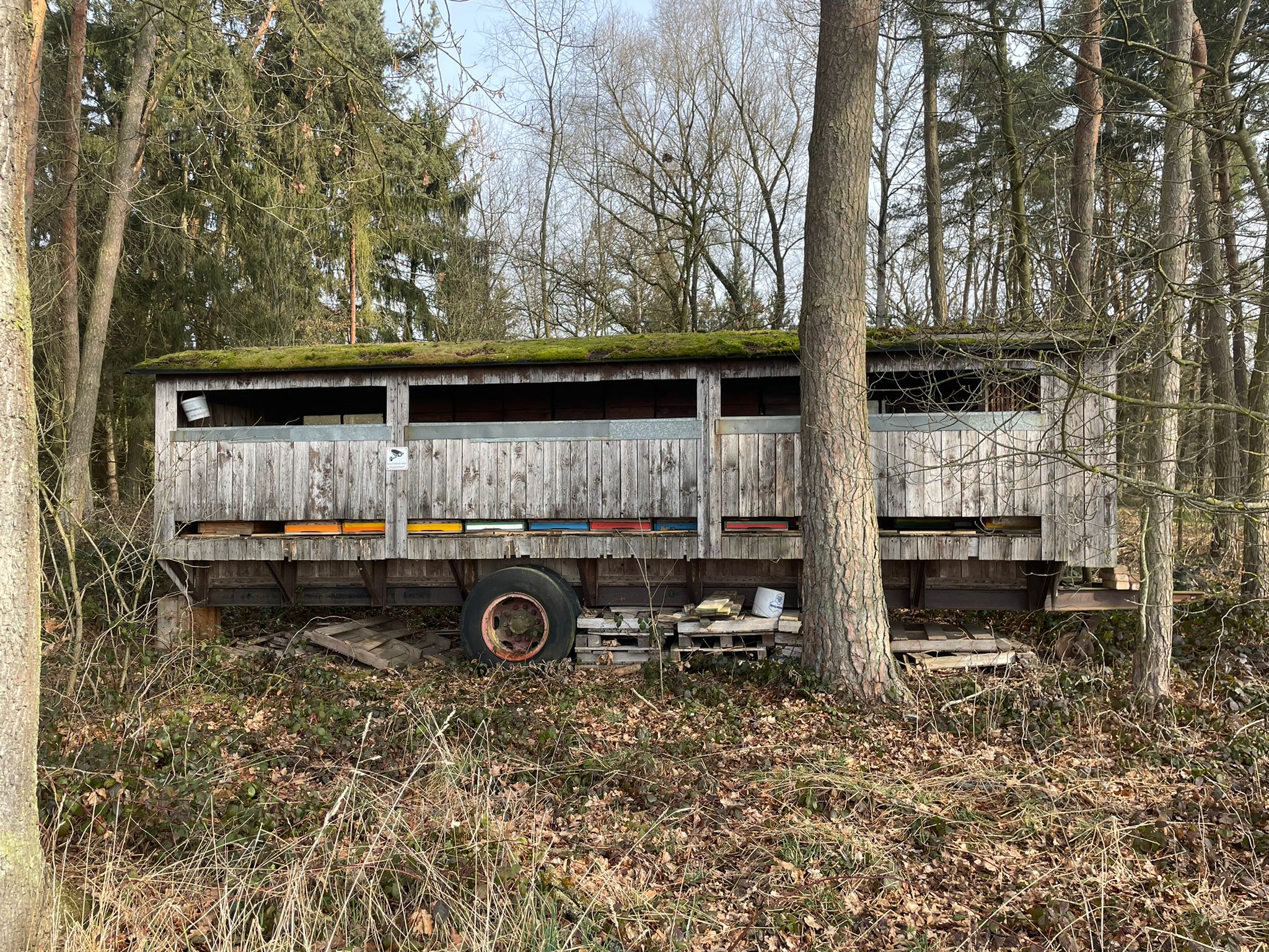 Imkereibedarf Wurmer